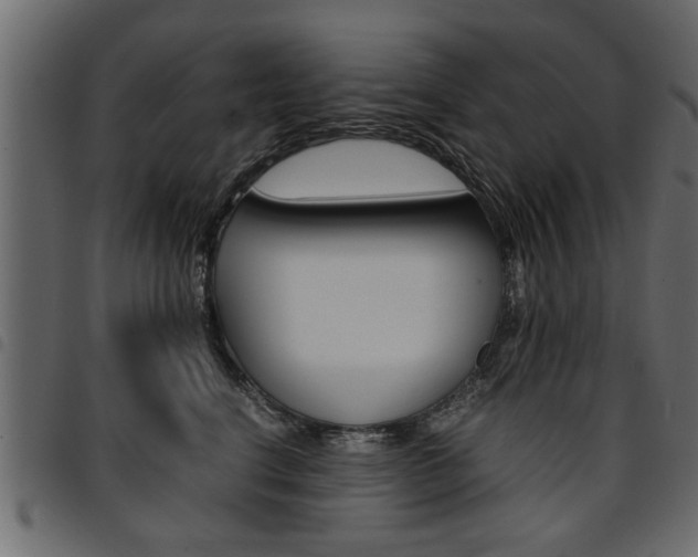 X0000094910664200711291001