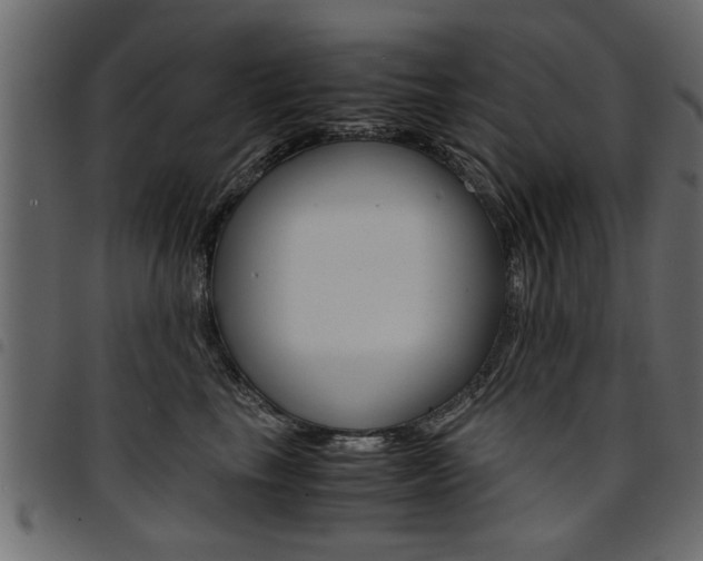 X0000094910665200711291001