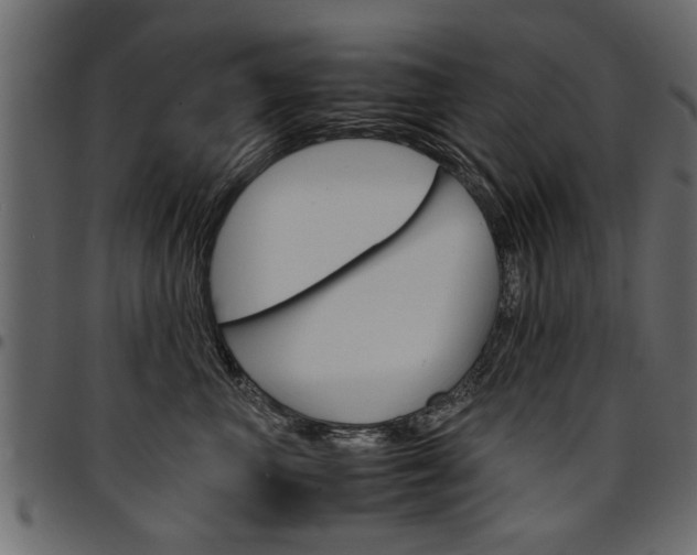 X0000094910667200711291001