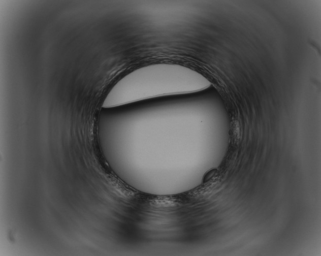 X0000094910668200711291001