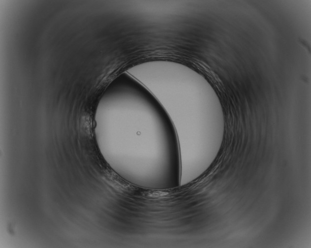X0000094910669200711291001