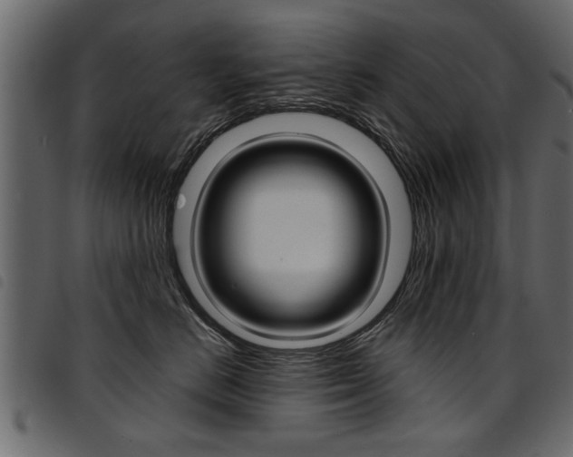 X0000094910670200711291001