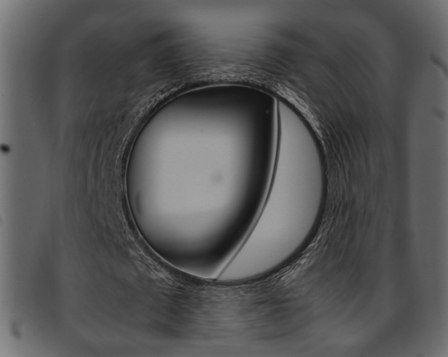 X0000094910673200711291001