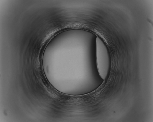 X0000094910674200711291001