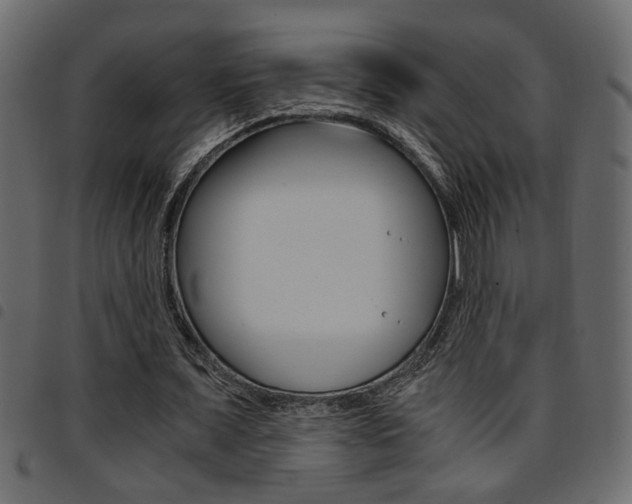 X0000094910675200711291001