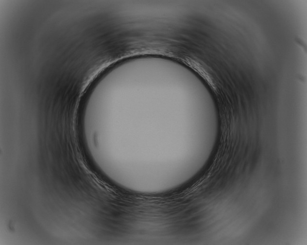 X0000094910676200711291001