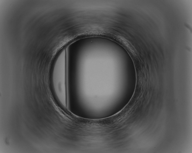 X0000094910677200711291001
