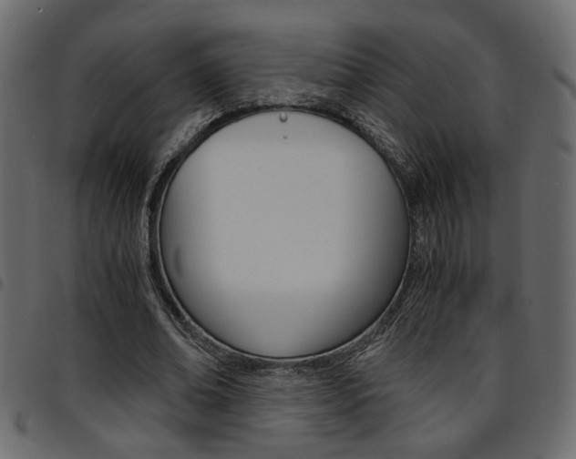 X0000094910678200711291000