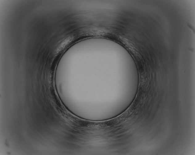 X0000094910679200711291000