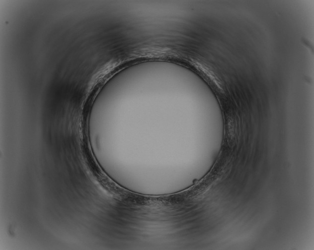 X0000094910682200711291000