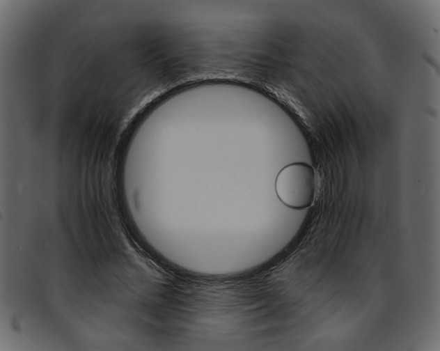 X0000094910684200711291000