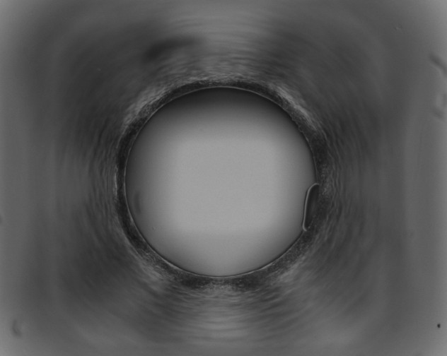 X0000094910685200711291000