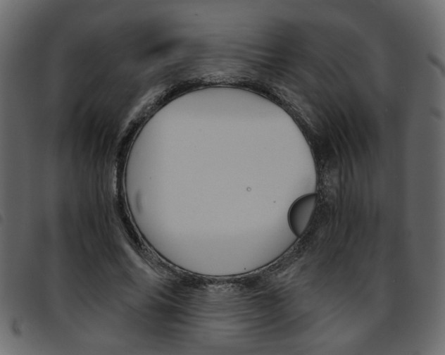 X0000094910686200711291000