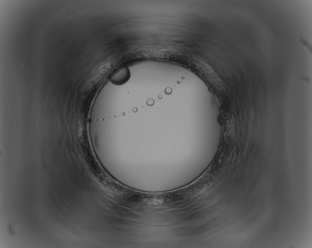 X0000094910687200711291000