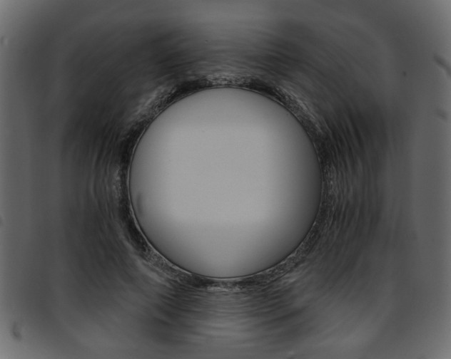 X0000094910690200711291000