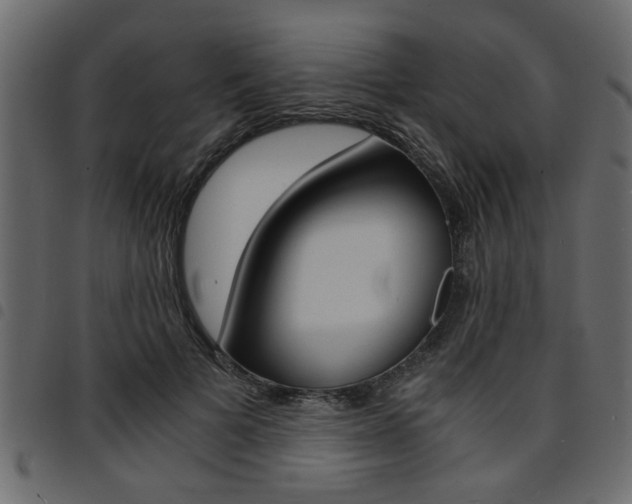 X0000094910697200711291000