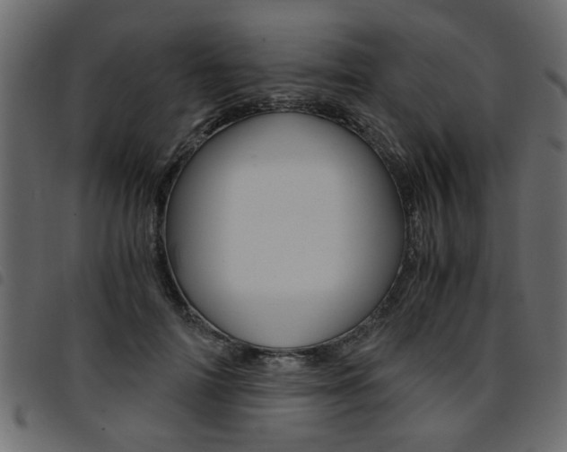 X0000094910698200711291000