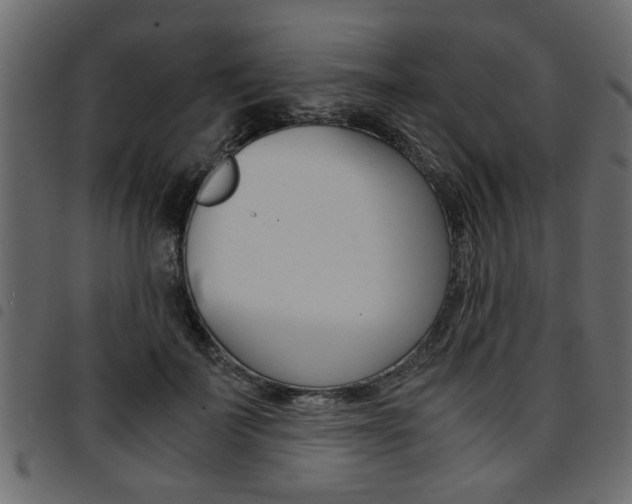 X0000094910699200711291000