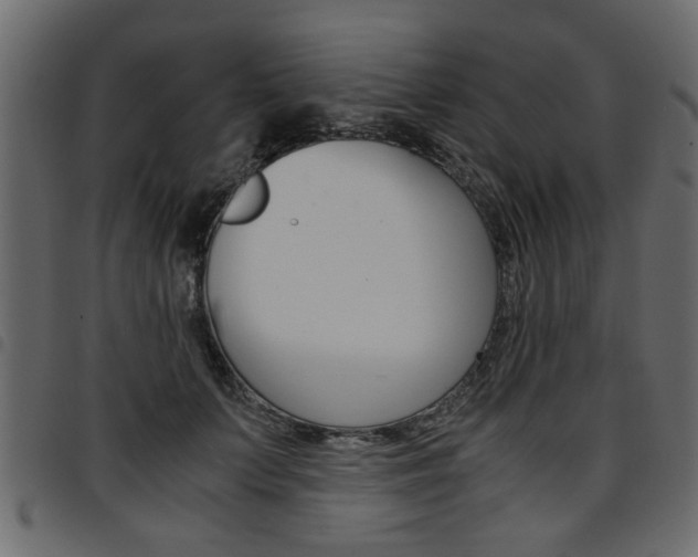 X0000094910703200711291000