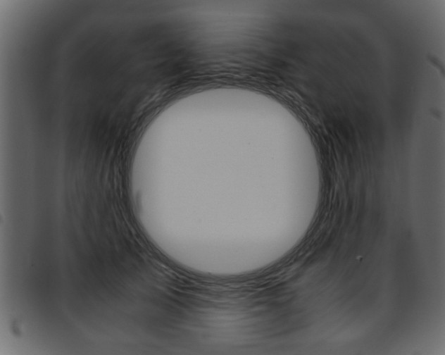 X0000094910705200711291000