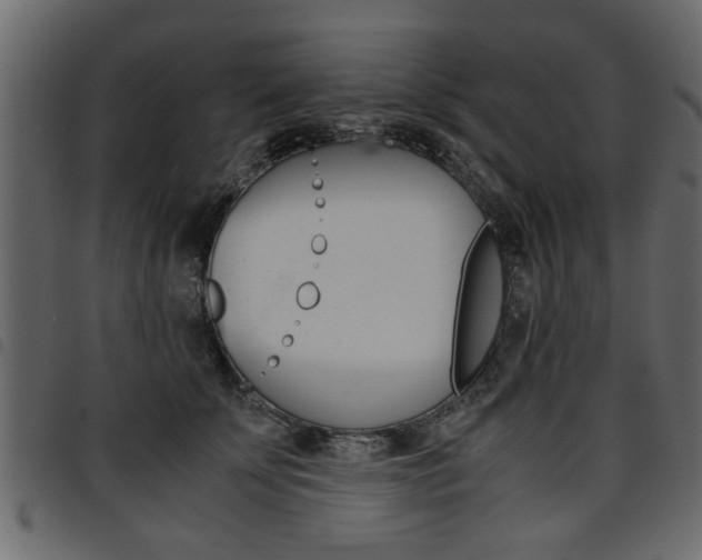 X0000094910707200711291000