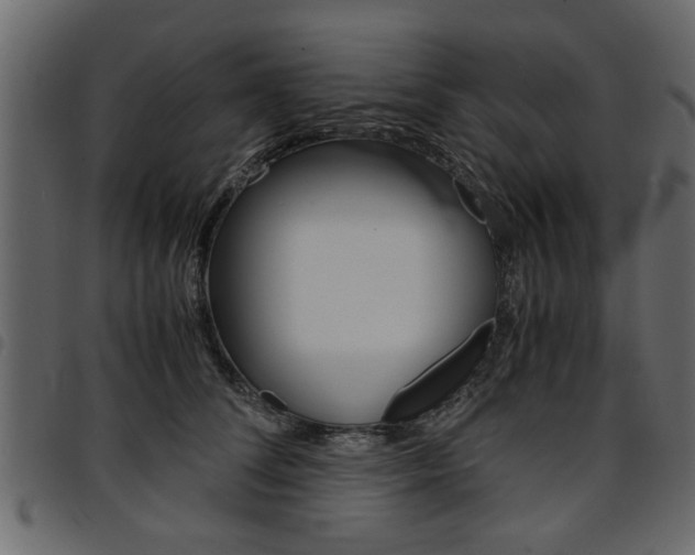 X0000094910708200711291000