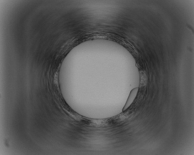 X0000094910713200711291000