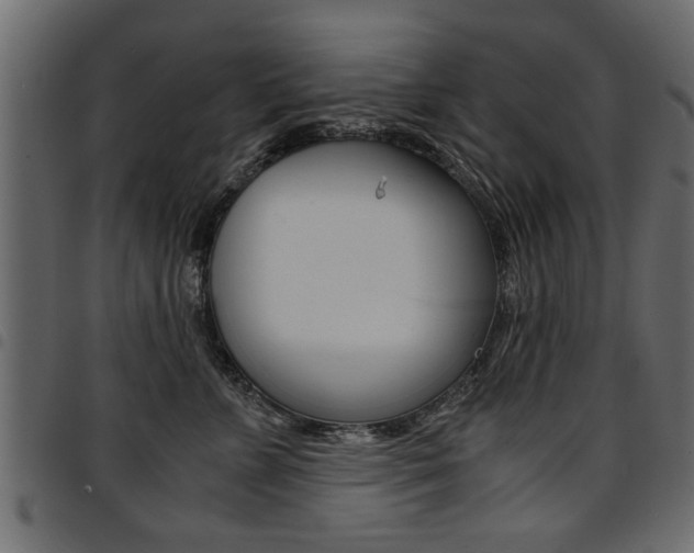 X0000094910715200711291000