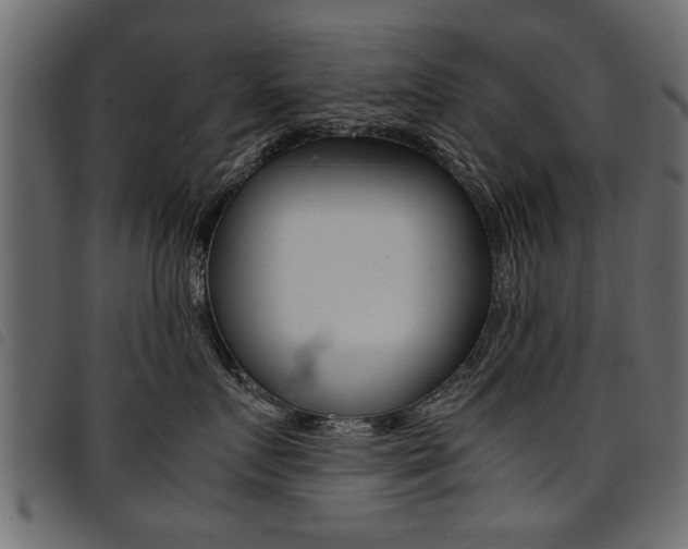 X0000094910719200711291000