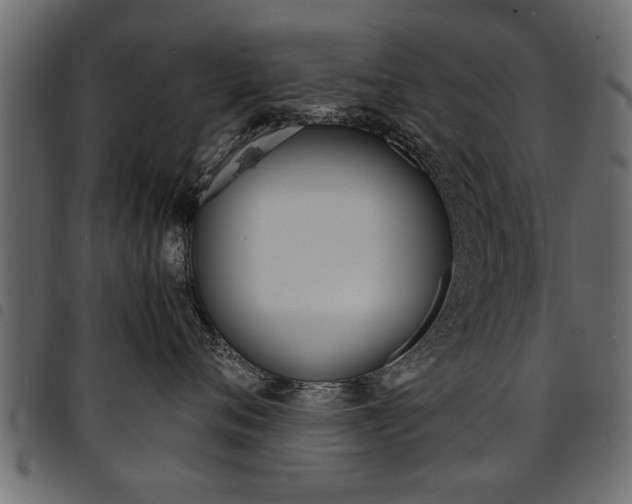 X0000094910720200711291000