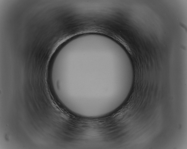 X0000094910724200711290959