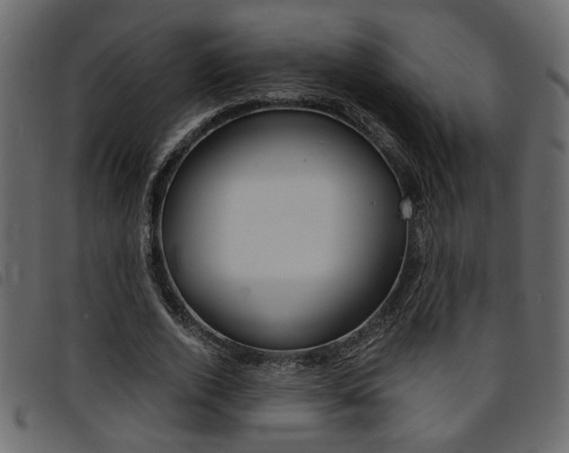 X0000094910728200711290959