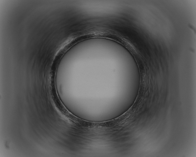X0000094910730200711290959