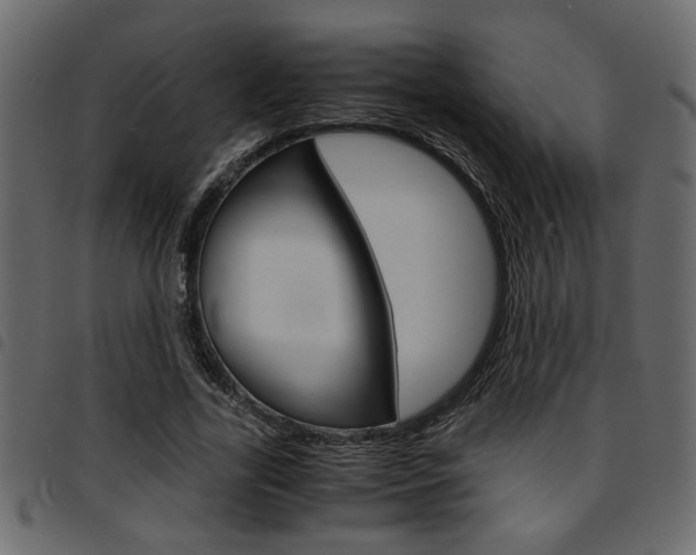 X0000094910731200711290959