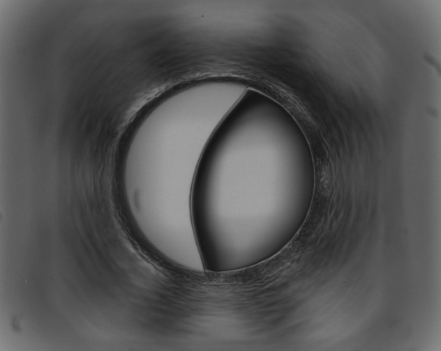 X0000094910732200711290959