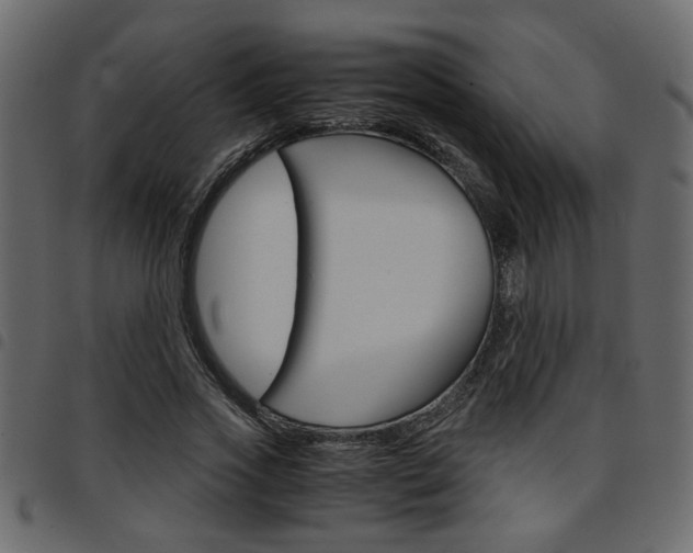 X0000094910733200711290959