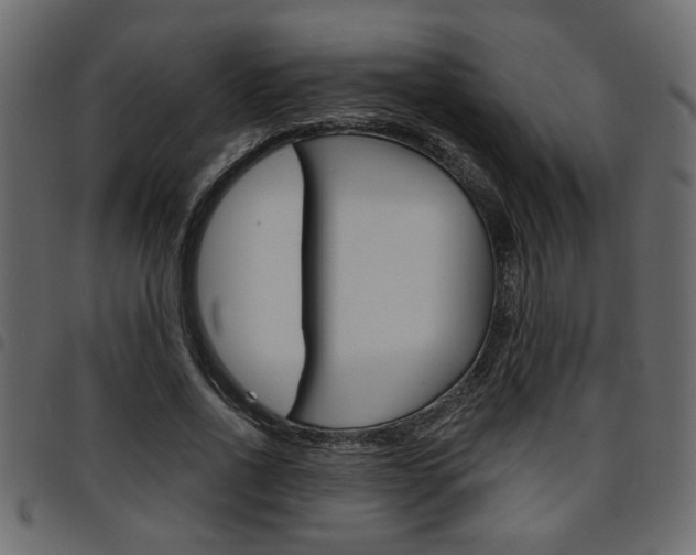 X0000094910734200711290959