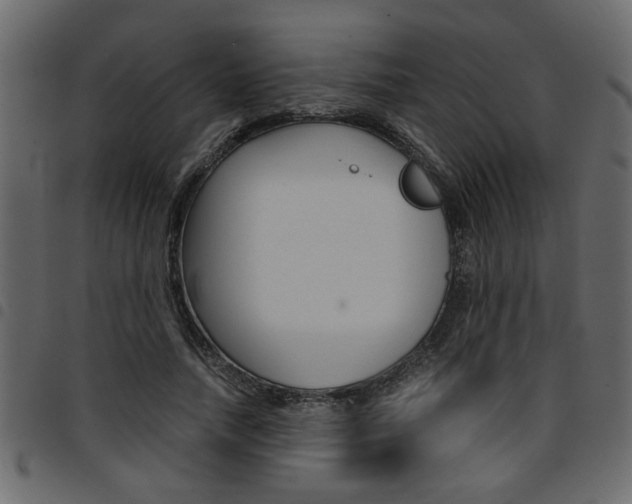 X0000094910738200711290959