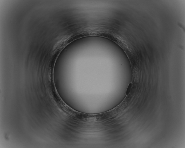 X0000094910740200711290959