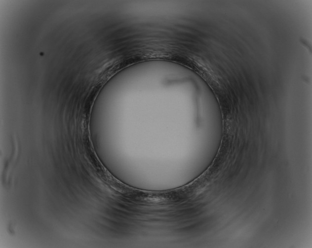 X0000094910741200711290959