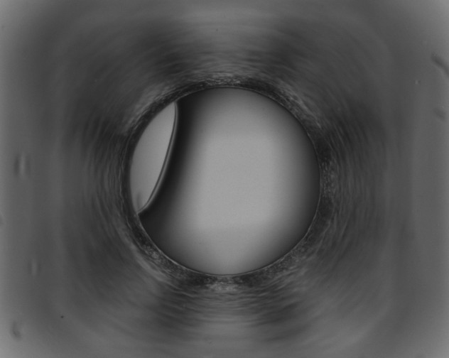 X0000094910742200711290959