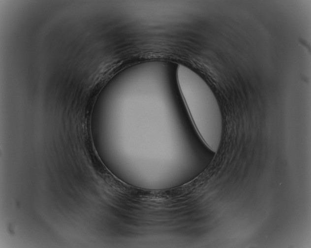 X0000094910743200711290959