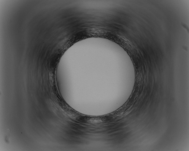 X0000094910749200711290959