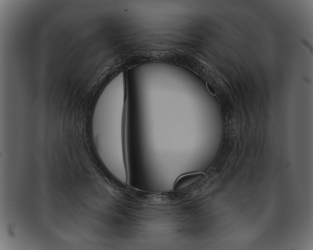 X0000094910750200711290959