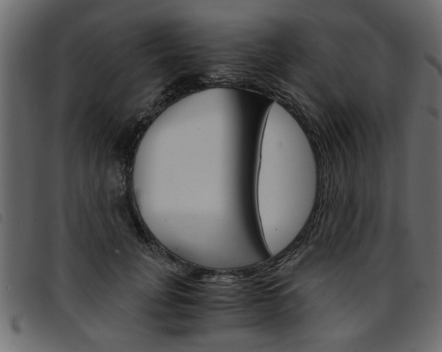 X0000094910751200711290959