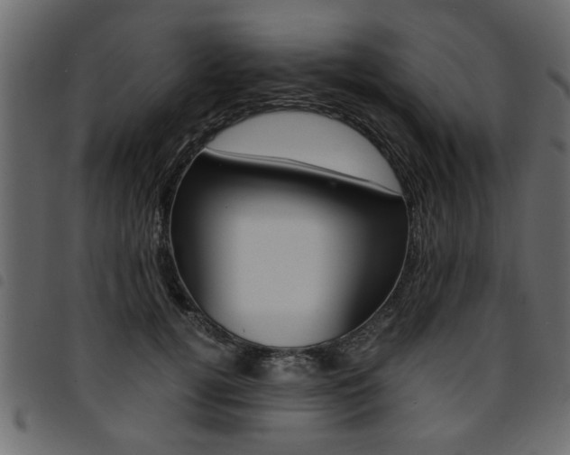 X0000094910752200711291000