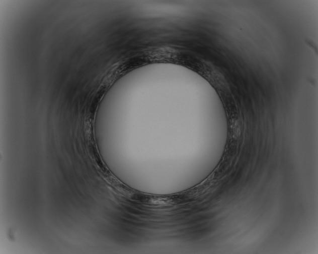 X0000094910753200711291000