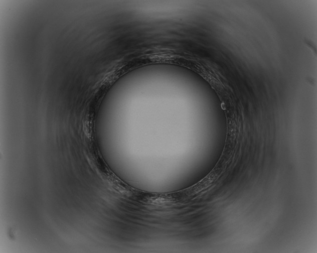 X0000094910755200711291000
