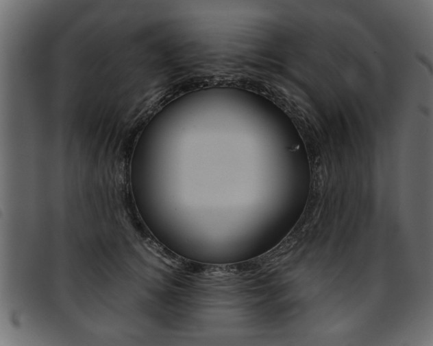 X0000094910756200711291000