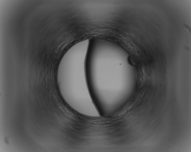 X0000094910758200711291000